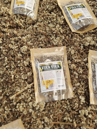 Hierba seca de vira vira Pseudognaphalium viravira para resfríos de uso popular