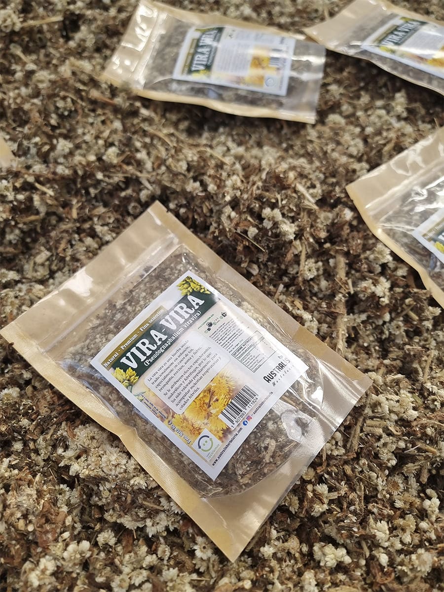 Vira vira Pseudognaphalium viravira en formato seco para herbolaria tradicional