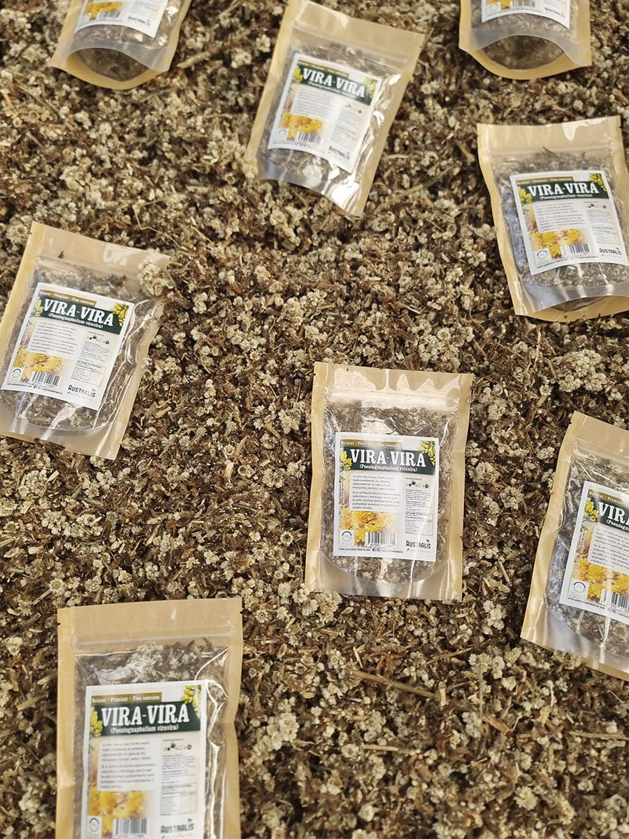 Vira vira hierba seca natural, valorada por su uso expectorante tradicional