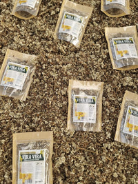 Vira vira hierba seca natural, valorada por su uso expectorante tradicional