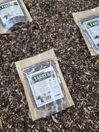 Yareta llareta hierba seca Laretia acaulis para infusión