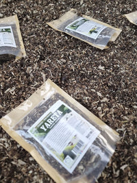 Yareta o llareta seca de uso popular en infusiones andinas