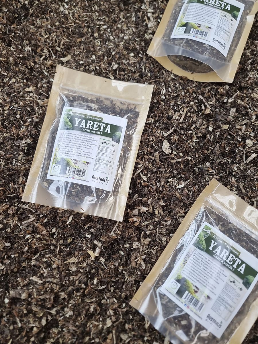 Yareta seca natural para infusiones o tés