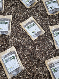 Laretia acaulis en hierba seca, producto conocido como yareta o llareta