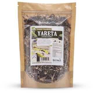 Yareta / Llareta seca Chile
