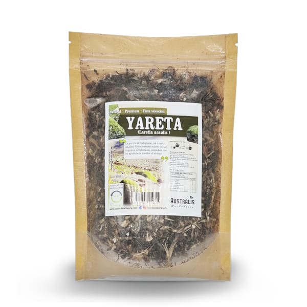 Yareta / Llareta seca Chile