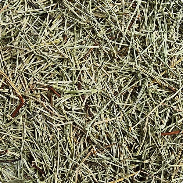 yerba de la plata
