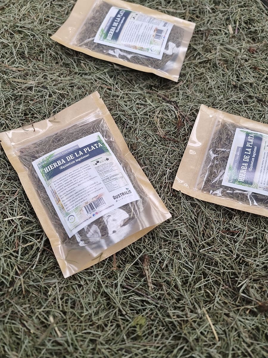 Yerba platero seca natural para preparar infusiones herbales