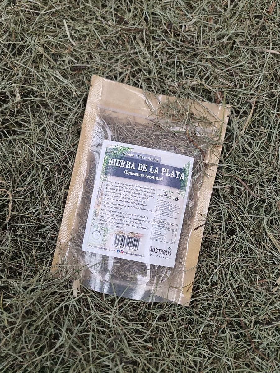 Hierba seca de Equisetum bogotense para té tradicional