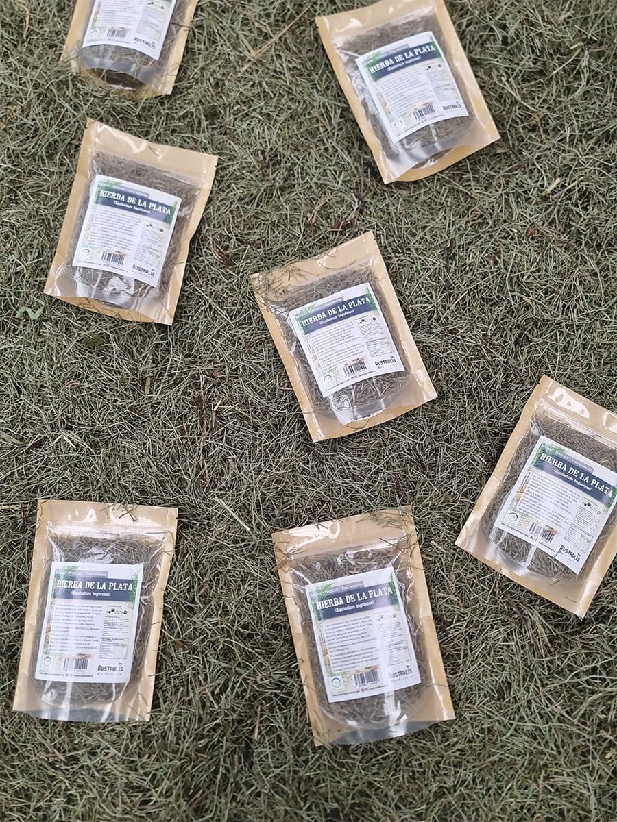 Platero hierba seca natural presentada para preparación de té