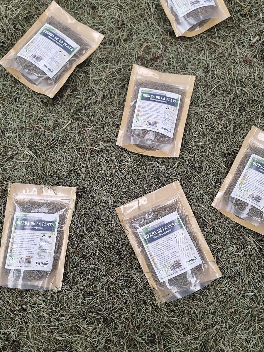 Hierba de la plata Equisetum bogotense seca para infusión
