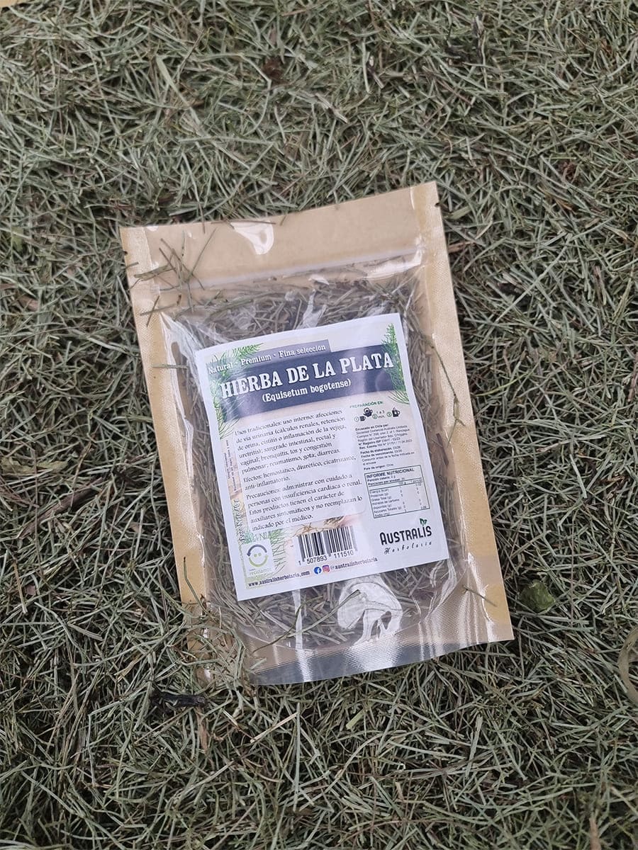 Equisetum bogotense en formato seco para infusiones herbales