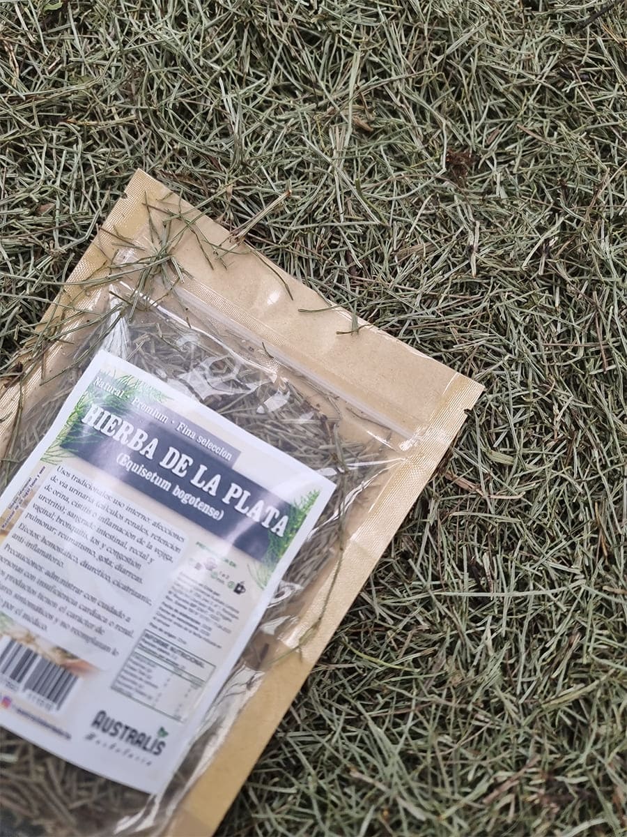 Yerba platero natural deshidratada para infusión tradicional