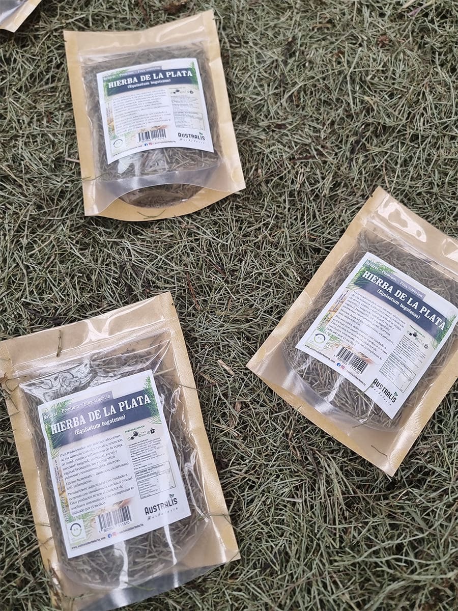 Hierba seca natural de Equisetum bogotense para infusión