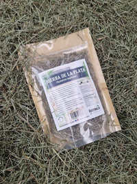 Yerba platero Equisetum bogotense en hierba seca natural