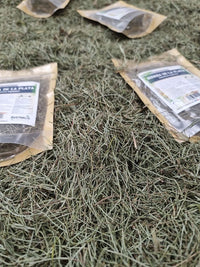 Platero hierba medicinal seca para preparación de infusión