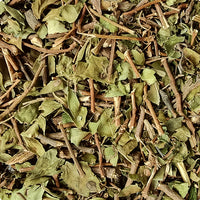 Zarzaparrilla