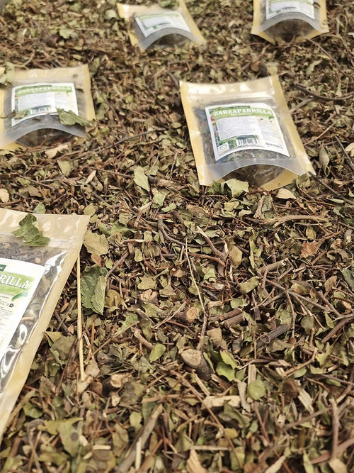 Hierba seca de zarzaparrilla chilena